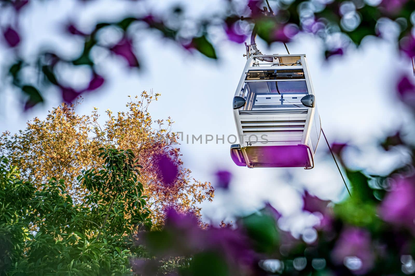 Cable car cab on background of sky, flowers, and plants by Laguna781