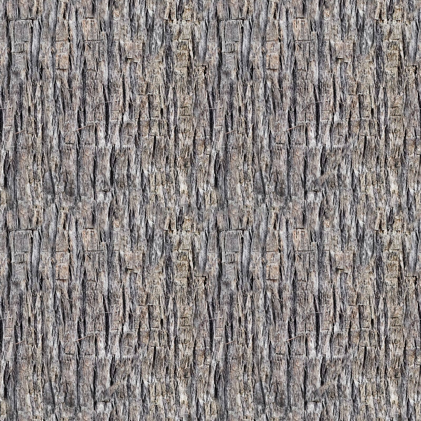 Seamless texture of brown palm tree bark. Natural background