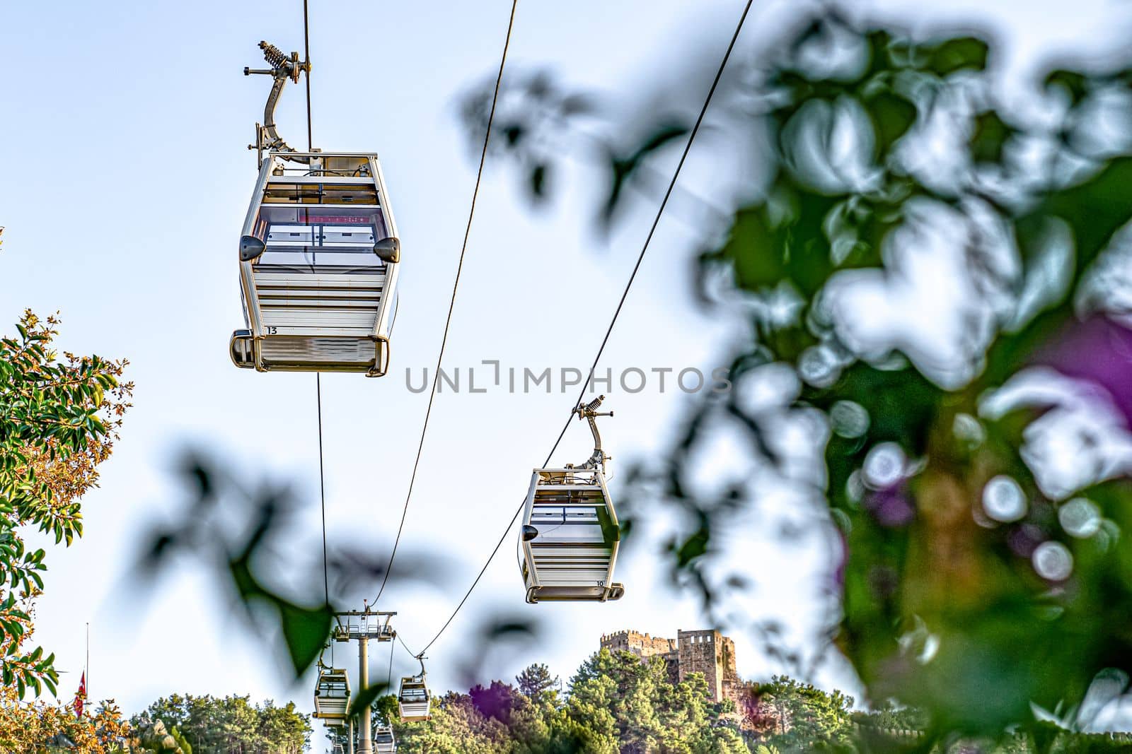 Cableway cabins on background of sky, flowers, and plants by Laguna781