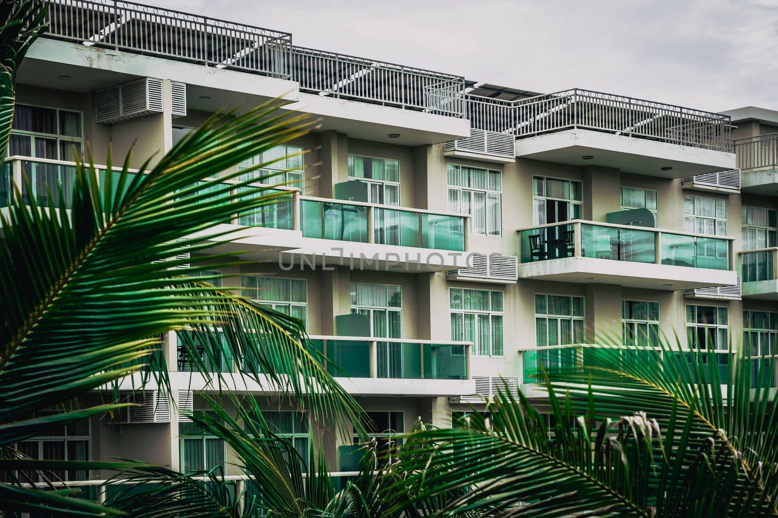 Palm tree branches level windows multi-storey building modern green glass balcony. Architecture background.