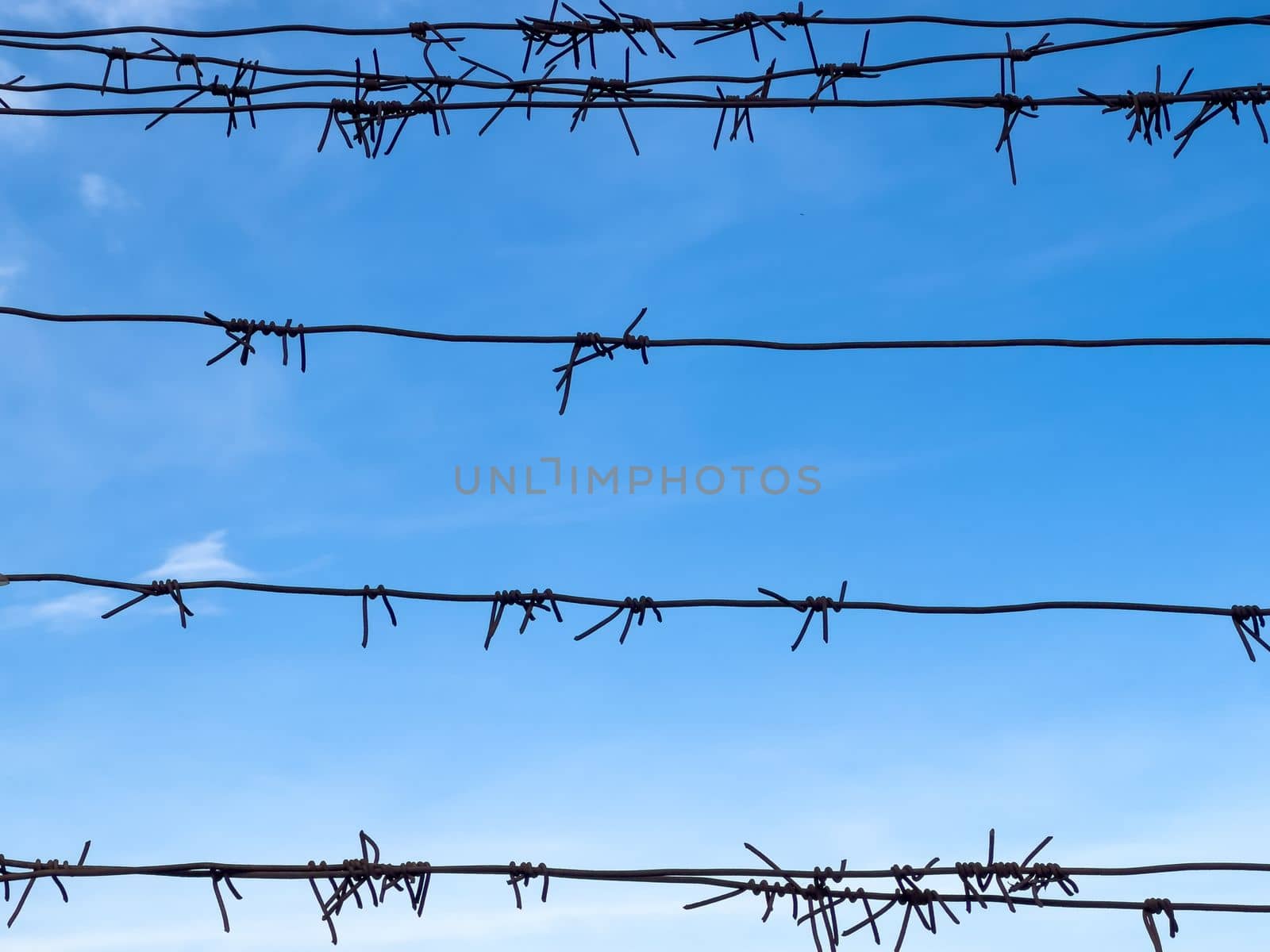 Barbed wire on fence with blue sky on background by Mariakray