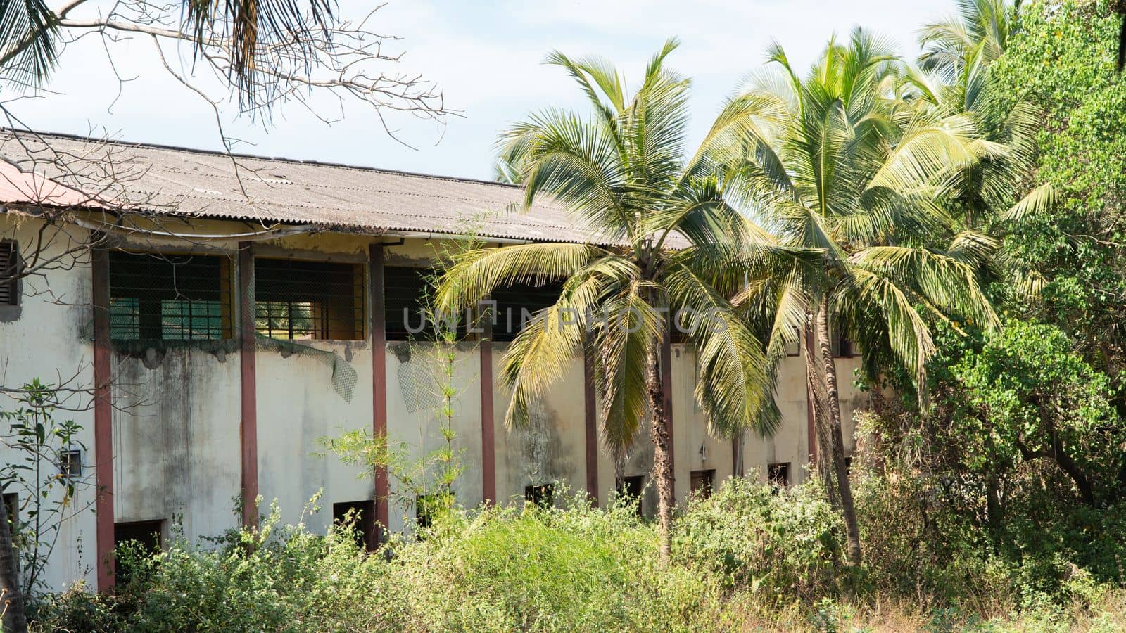 Abandoned old building in the jungle with palm trees by voktybre