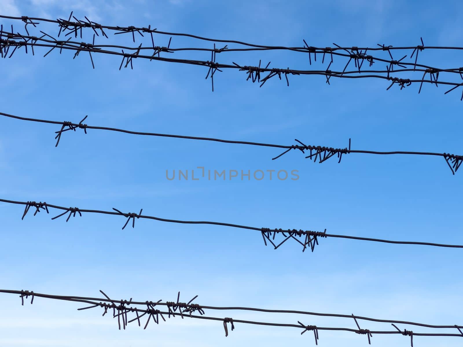 Barbed wire on fence with blue sky on background. Security concept by Mariakray