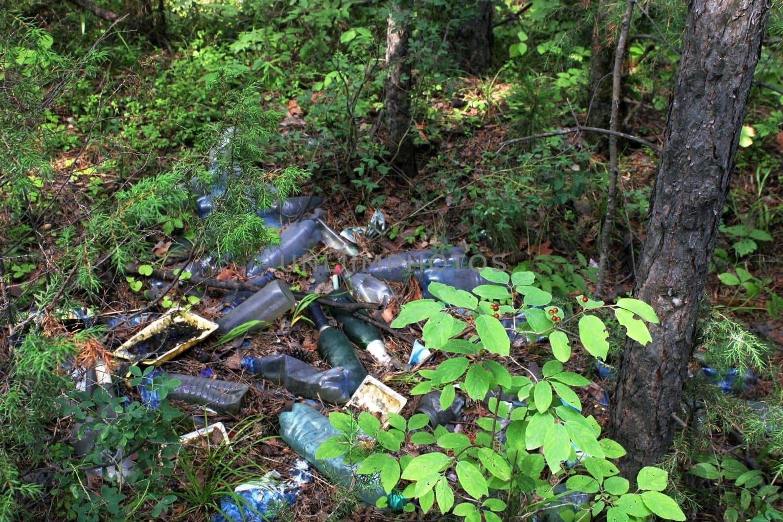A pile of plastic bottles thrown away by people in the forest. The concept of ecology and environmental pollution.