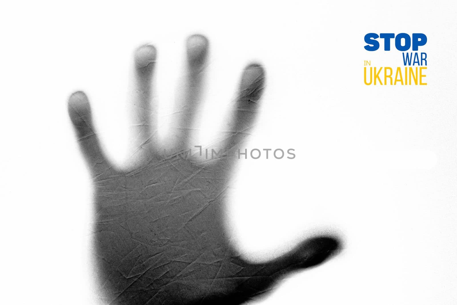 palm shadow on white background with words stop war in ukraine. black and white color. concept needs help and support, truth will win