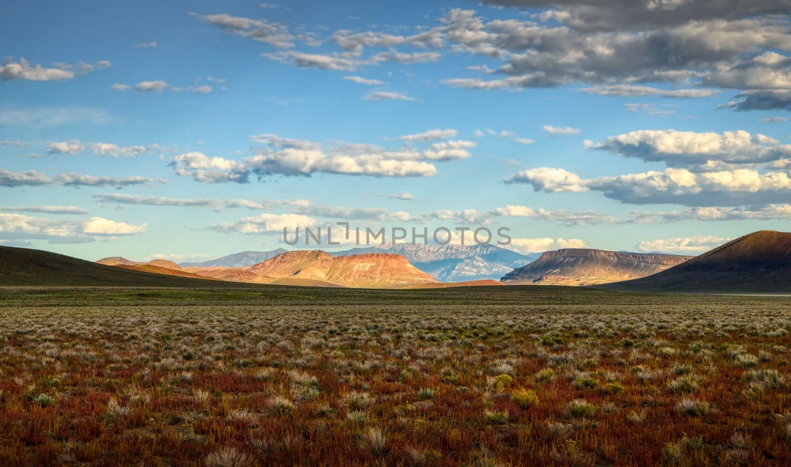 Remote Desert Lunar Crater Area Nevada