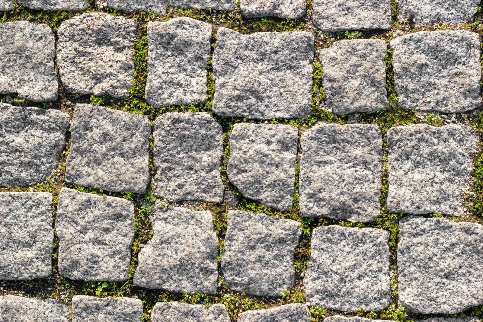 Texture of paved stone road with asymmetrical stones with sprouted grass at seams. by Laguna781