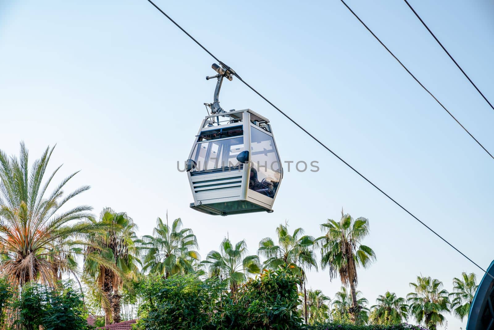 Funicular cab on background of sky and palm trees by Laguna781