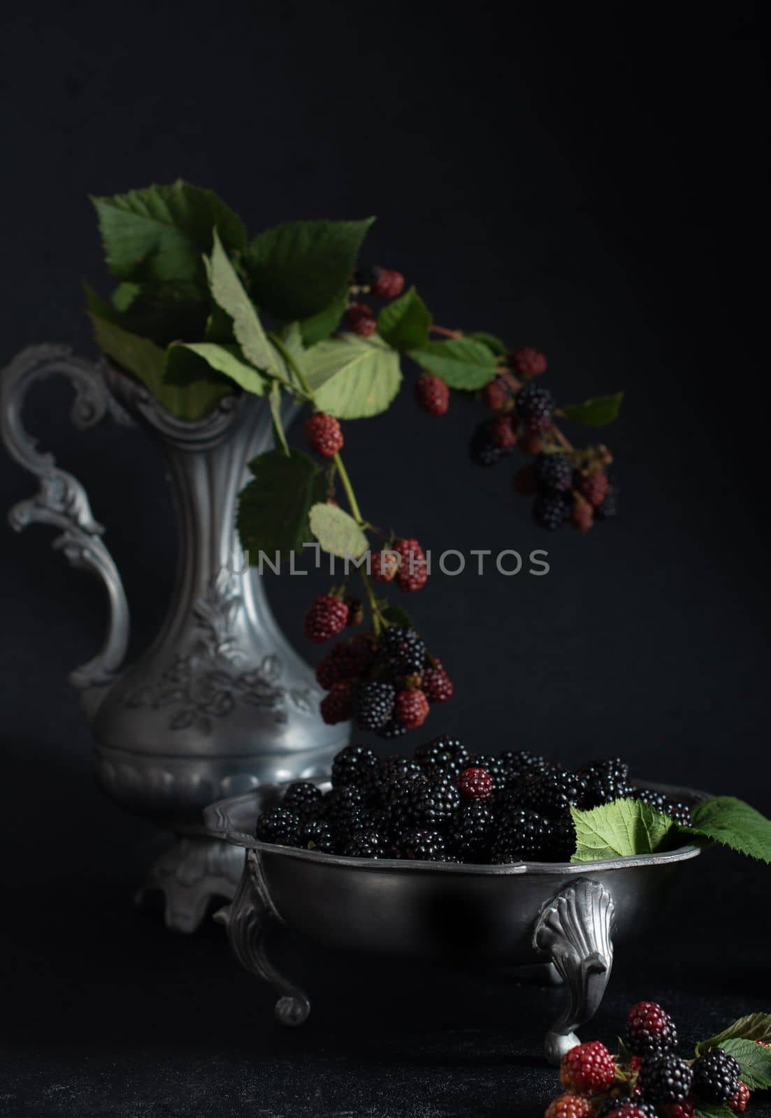 A full plate of the ripe blackberries, and a sprig of red blackberries on a pewter bowl on the dark background, copy space,High quality photo