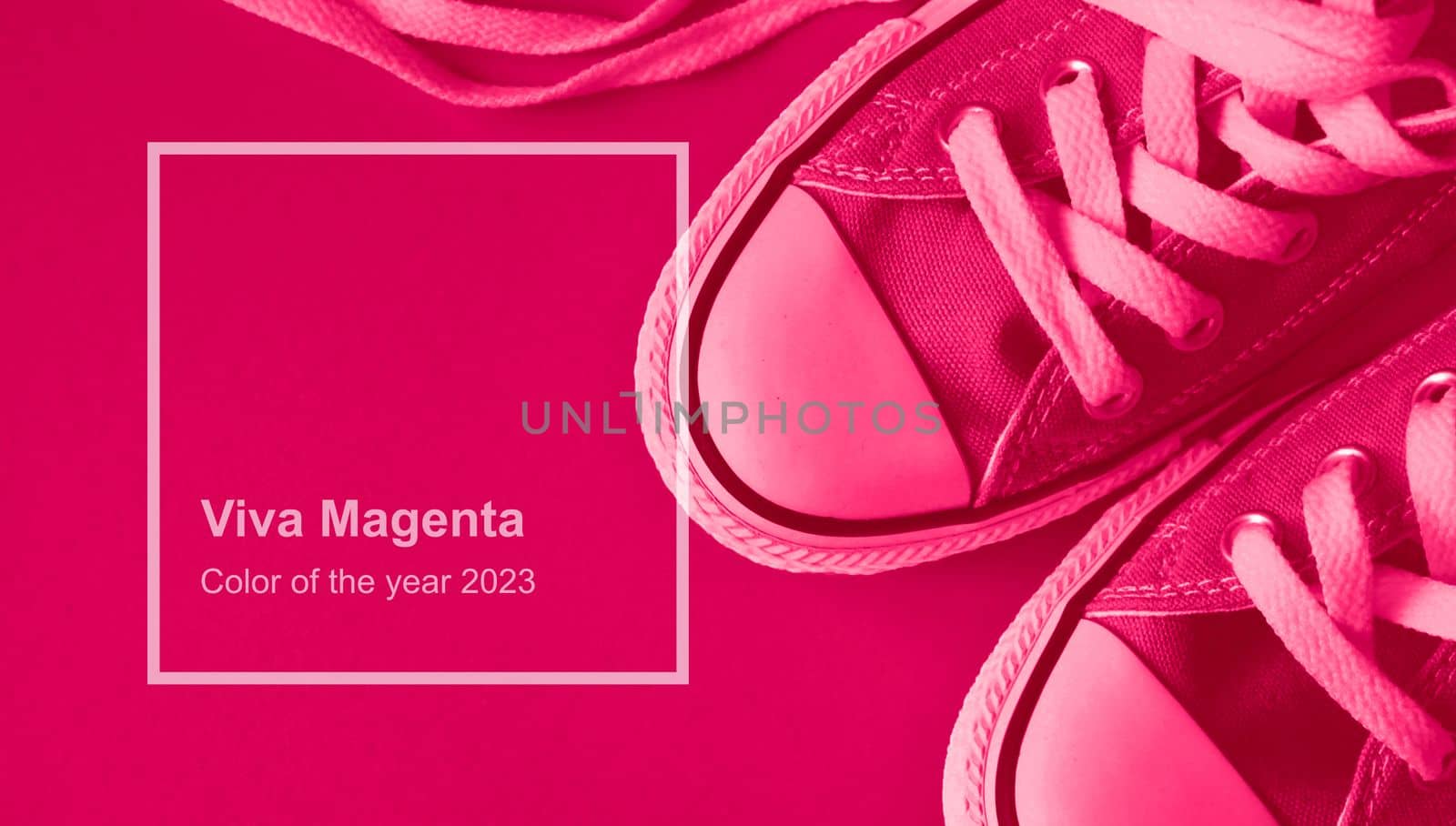 Viva Magenta monochrome sneakers. Trendy color 2023 concept. High quality photo