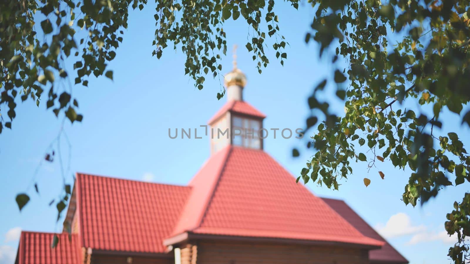 Branches of a birch tree in the background of the church