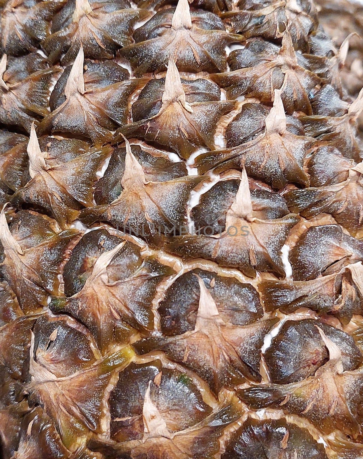 Close-up detail of ripe pineapple textura pattern. by gallofoto