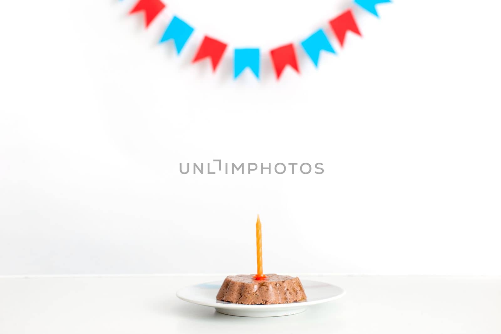 A white table with a small canned animal cake on a white saucer and an orange candle. In the background, multi-colored flags hang. Pet birthday concept. Copy space