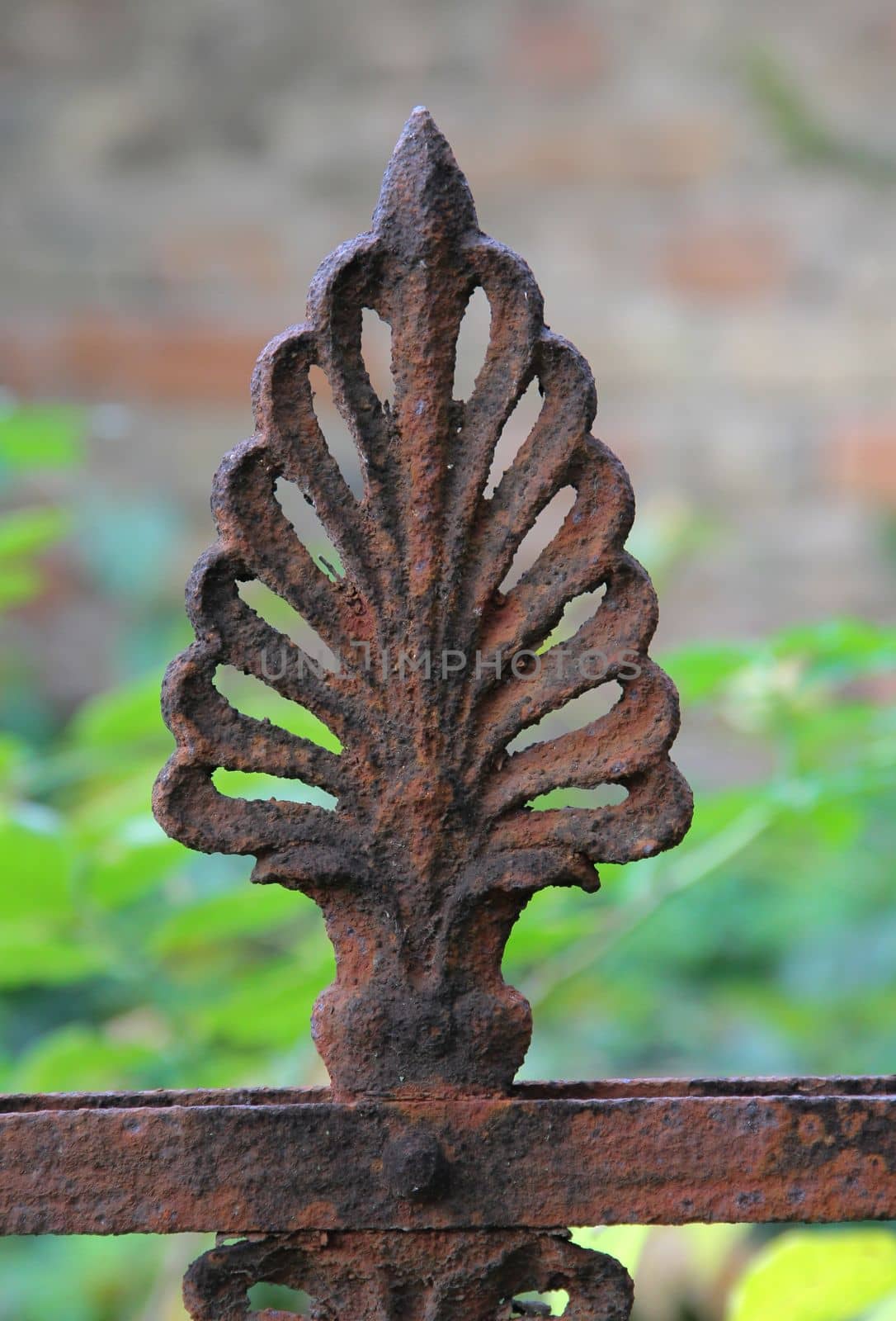 Old brown rusty weathered fence ornament close up. by gallofoto