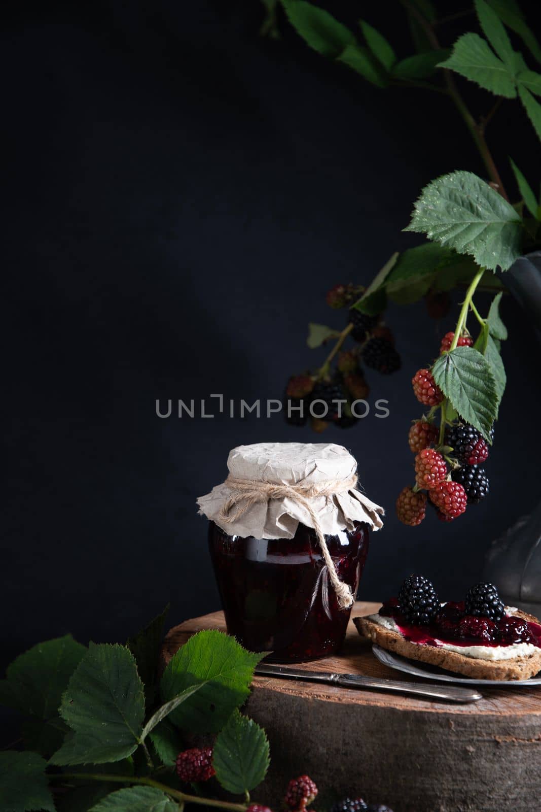 still life with a jar of blackberry jam and bruschettas with soft cheese and berries, decorated with a branch with green leaves, High quality photo