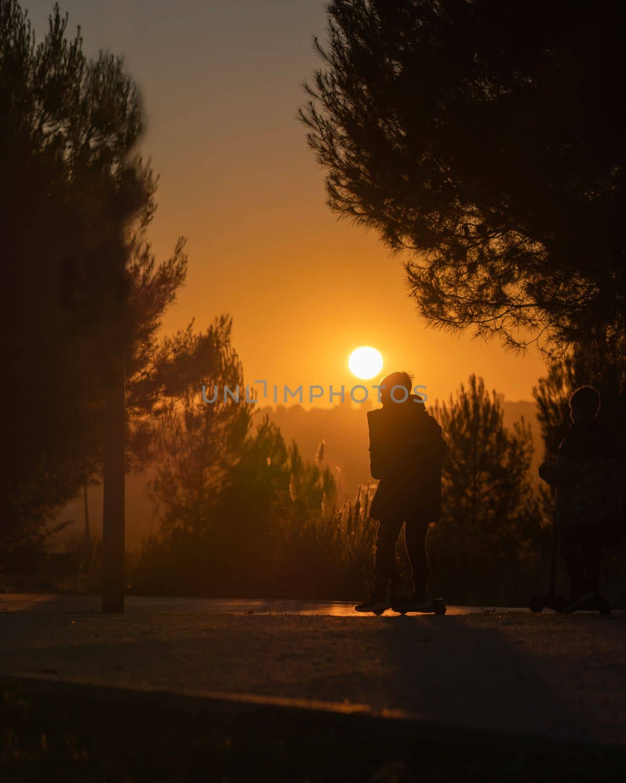 Silhouette of a boy running with scooter among trees in nature against sun light at sunset