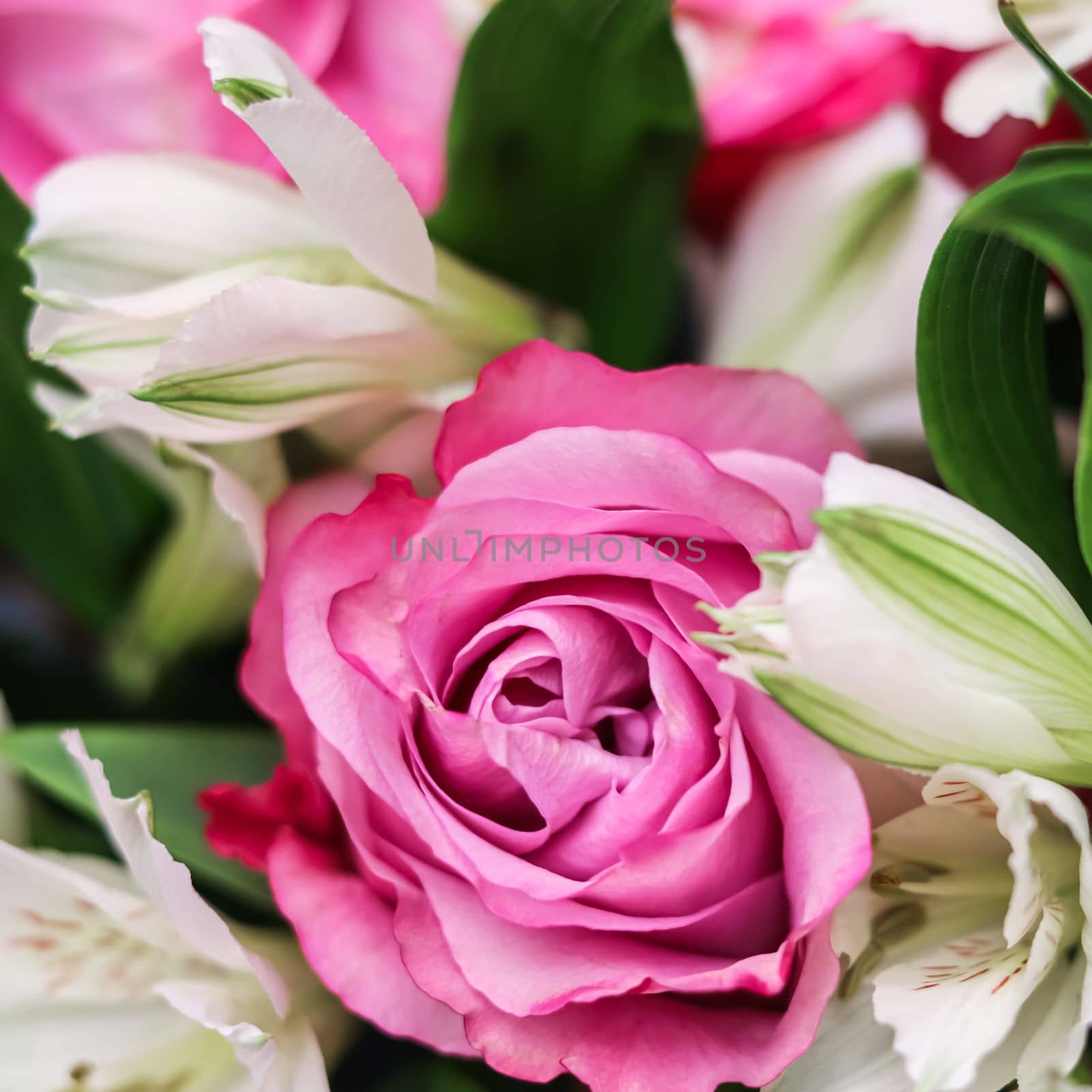 Beautiful pink rose in flower arrangement. Decoration of roses and ornamental plants, selective focus