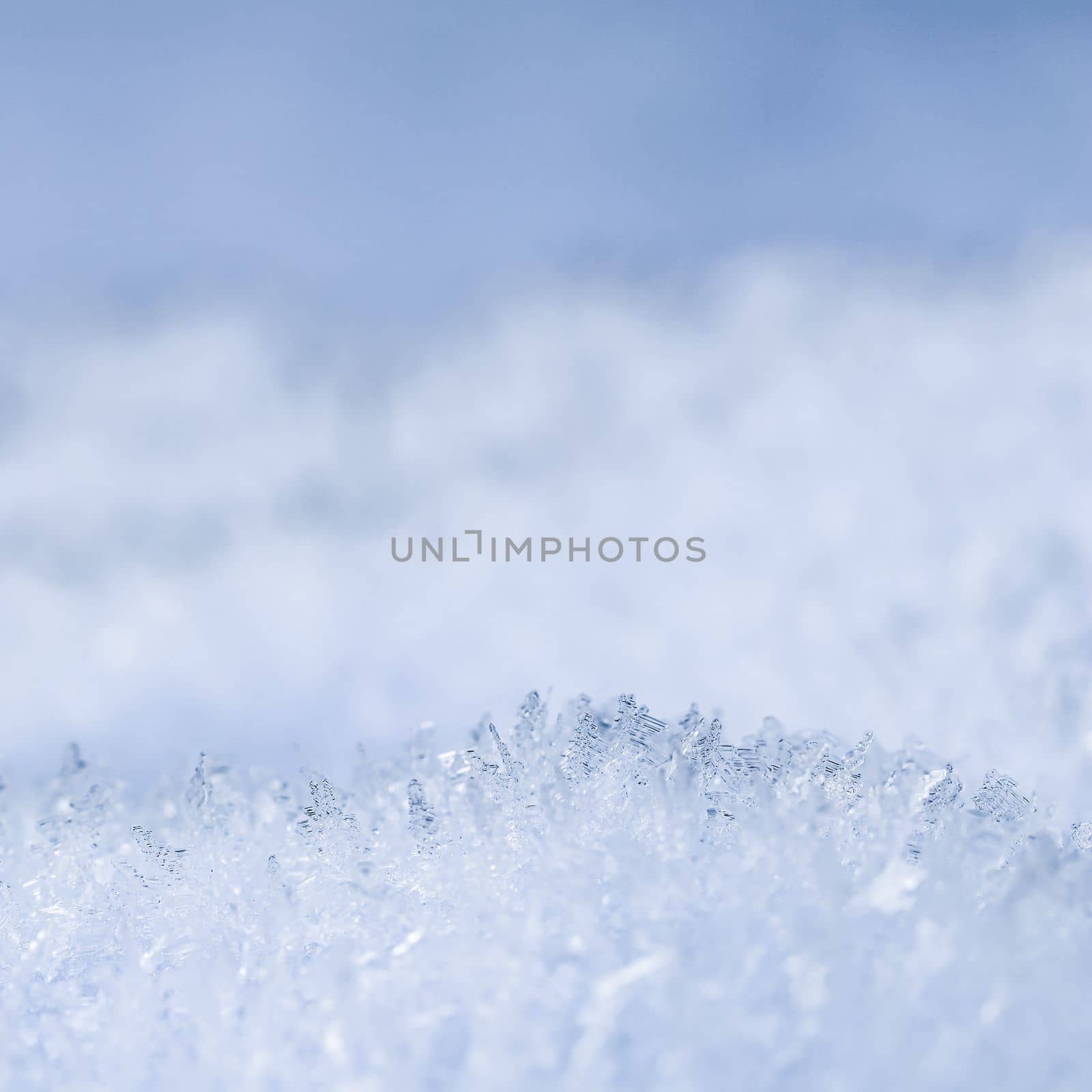 Fresh white snow background. Natural winter backdrop. Texture in blue tones