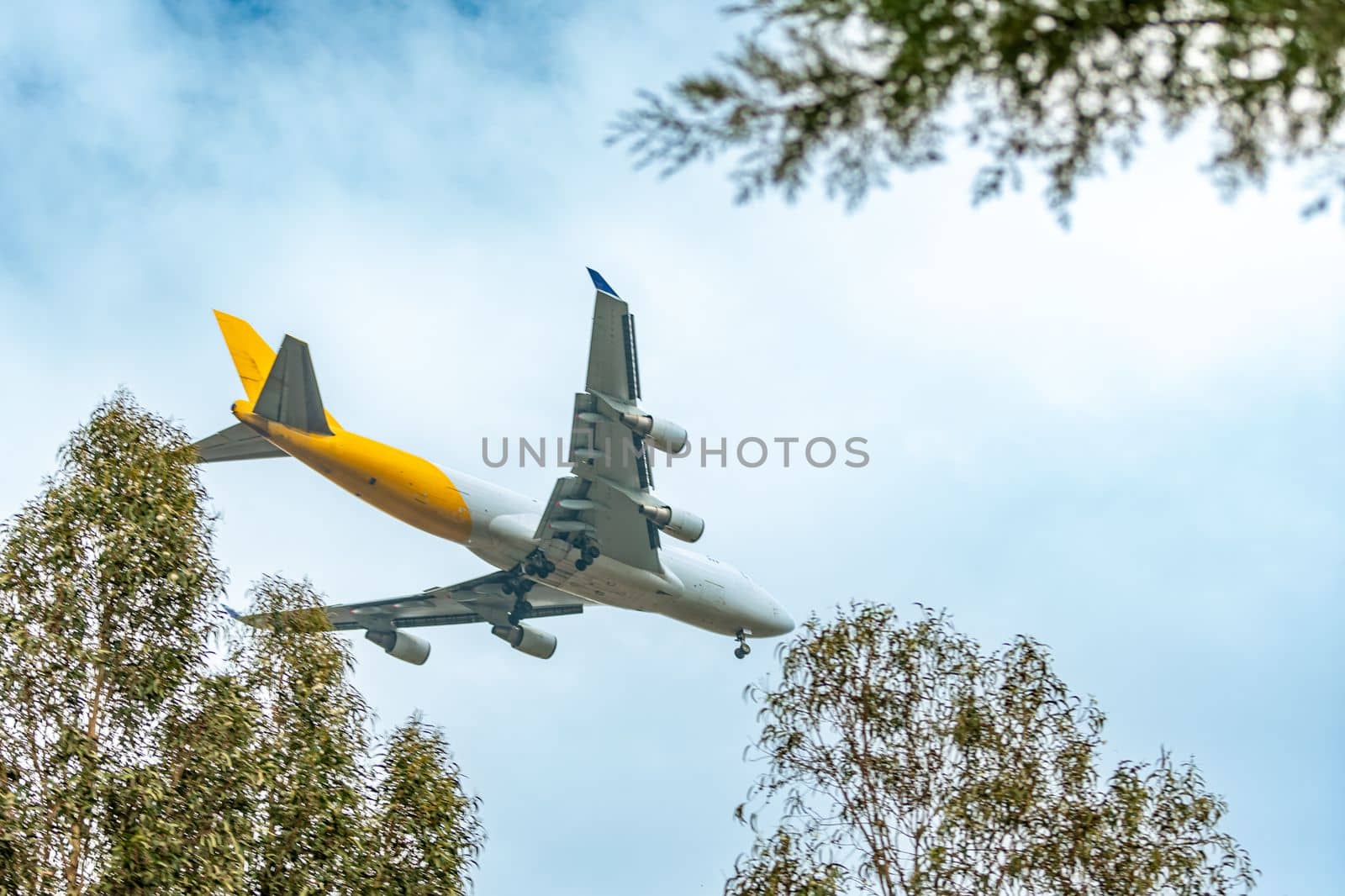 the plane lands above the treetops.