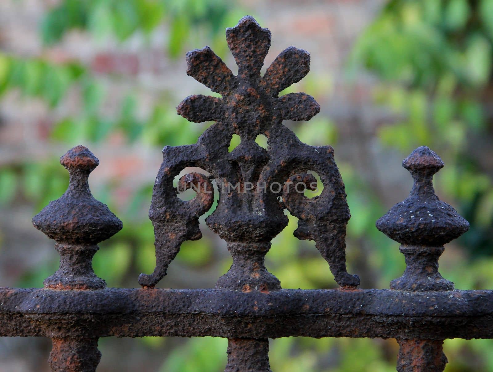 Old brown rusty weathered fence ornament close up. by gallofoto