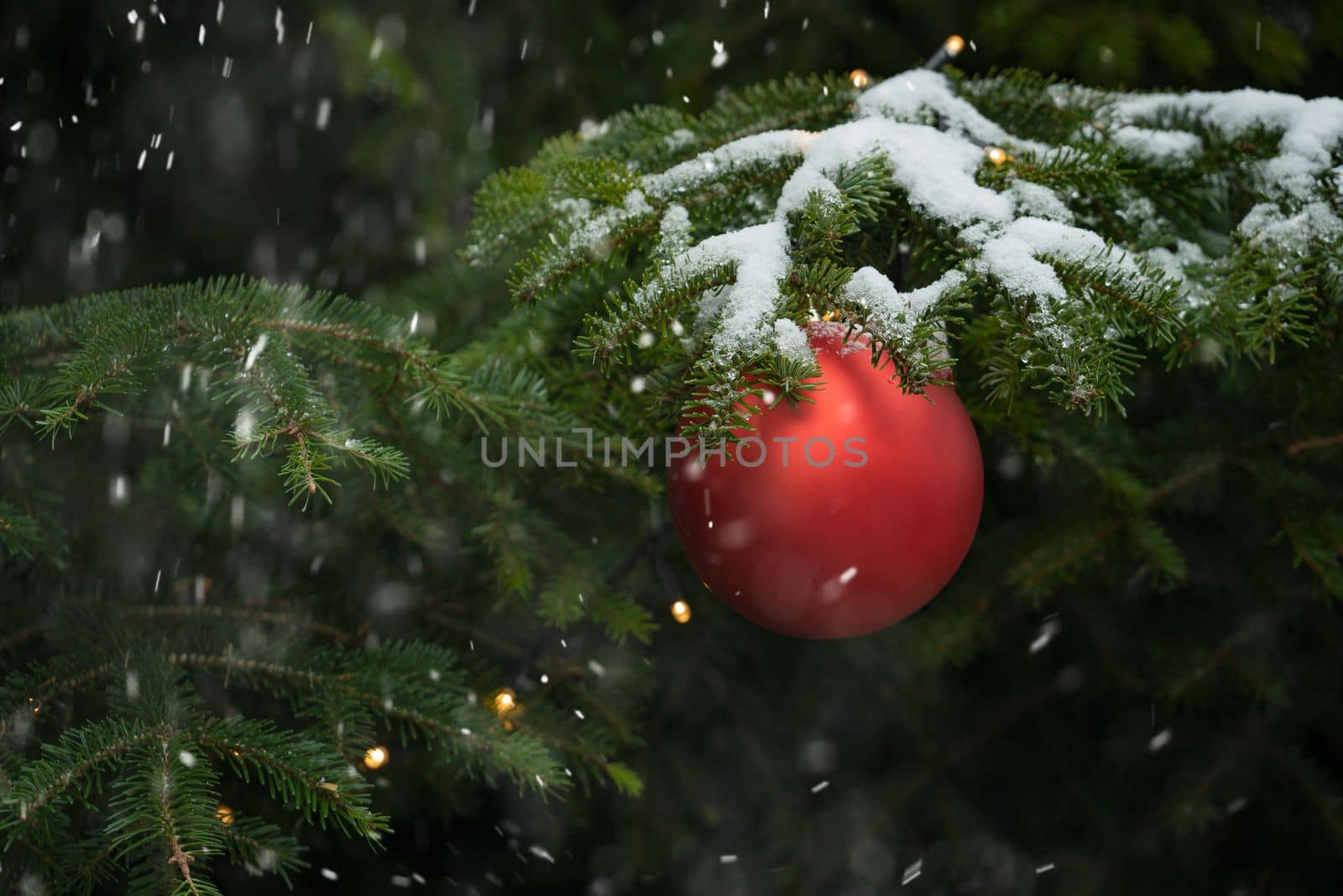 Merry Christmas and Happy Holidays greeting card, frame, banner. New Year. Noel. Red Christmas ball and gift on green pine tree branches background top view. Winter xmas holiday theme. High quality photo