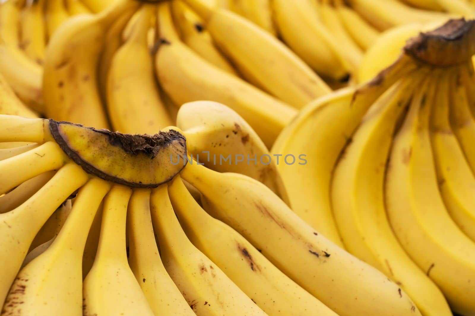 Bunch of ripened bananas at grocery store at a local market