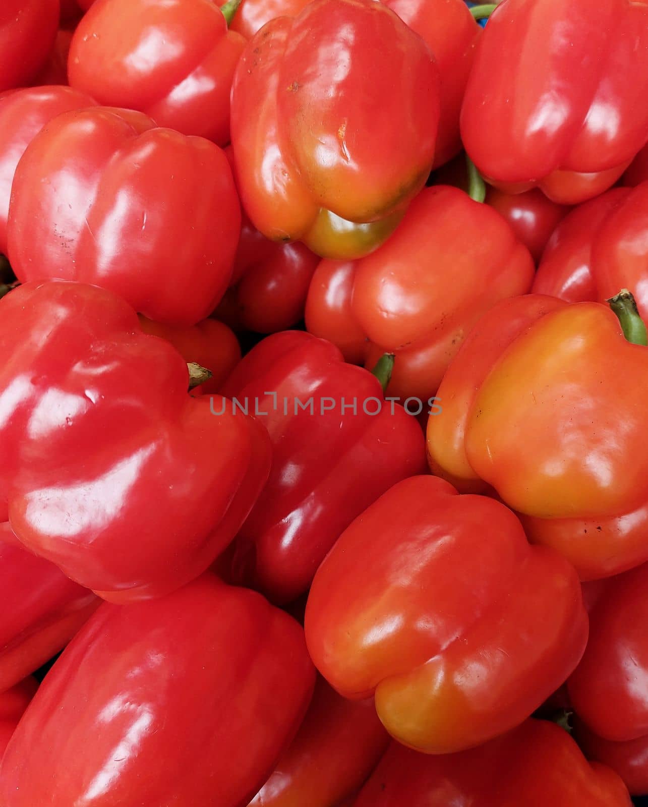 Red pepper group on the vegetable counter. High quality photo