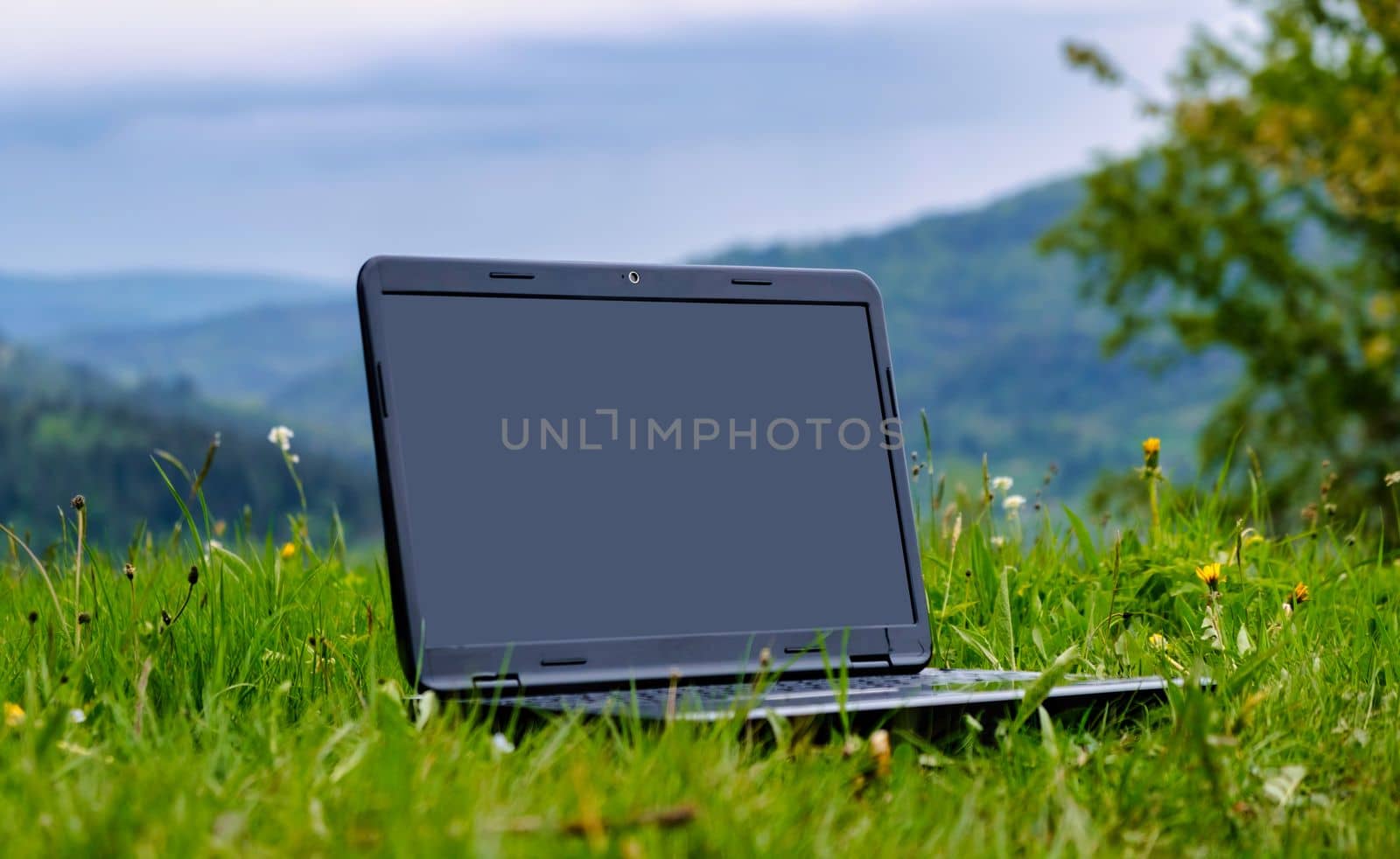 Laptop on green grass in park. Working outdoor concept. download image