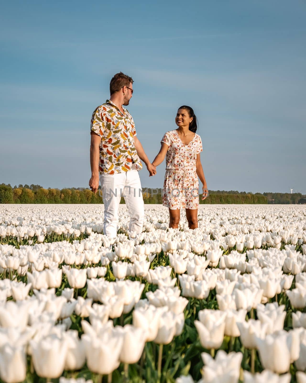 Couple of men and women in tulip field during Spring in the Netherlands by fokkebok