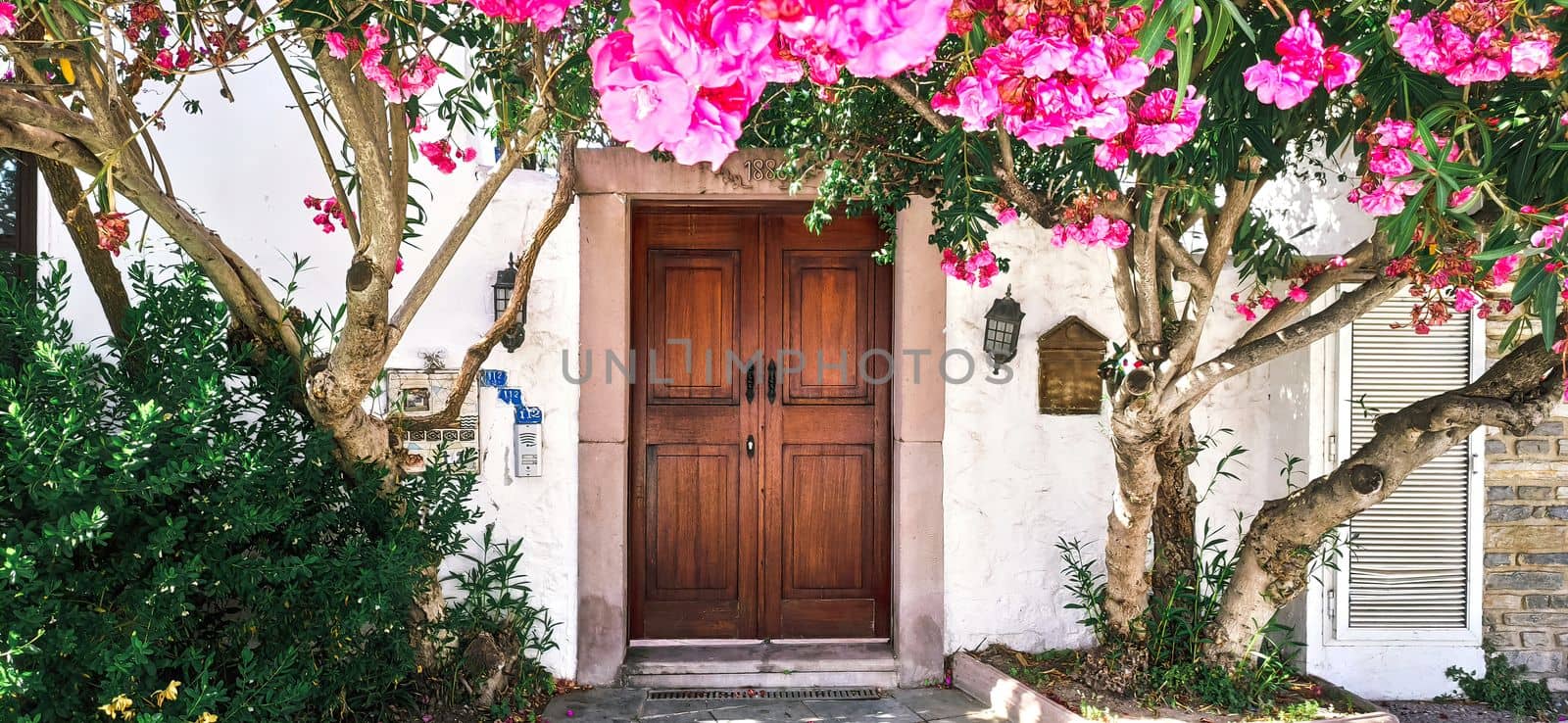 Old wooden door with flowers