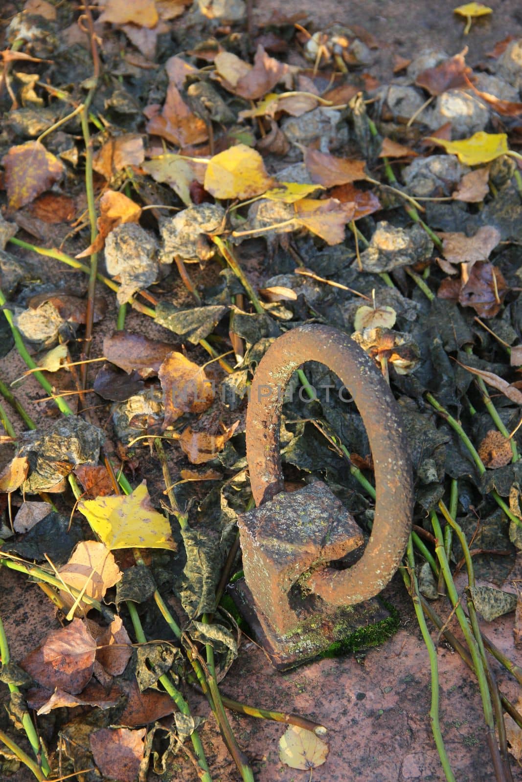 cemetery grave lid rusty handle with withered flowers by gallofoto