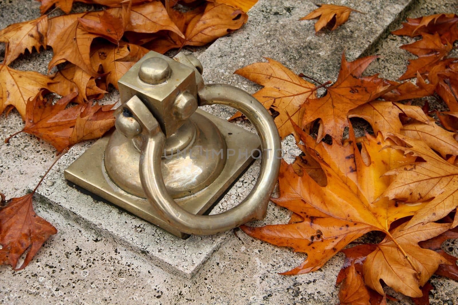 cemetery grave lid doorknob autumn yellow leaf. High quality photo