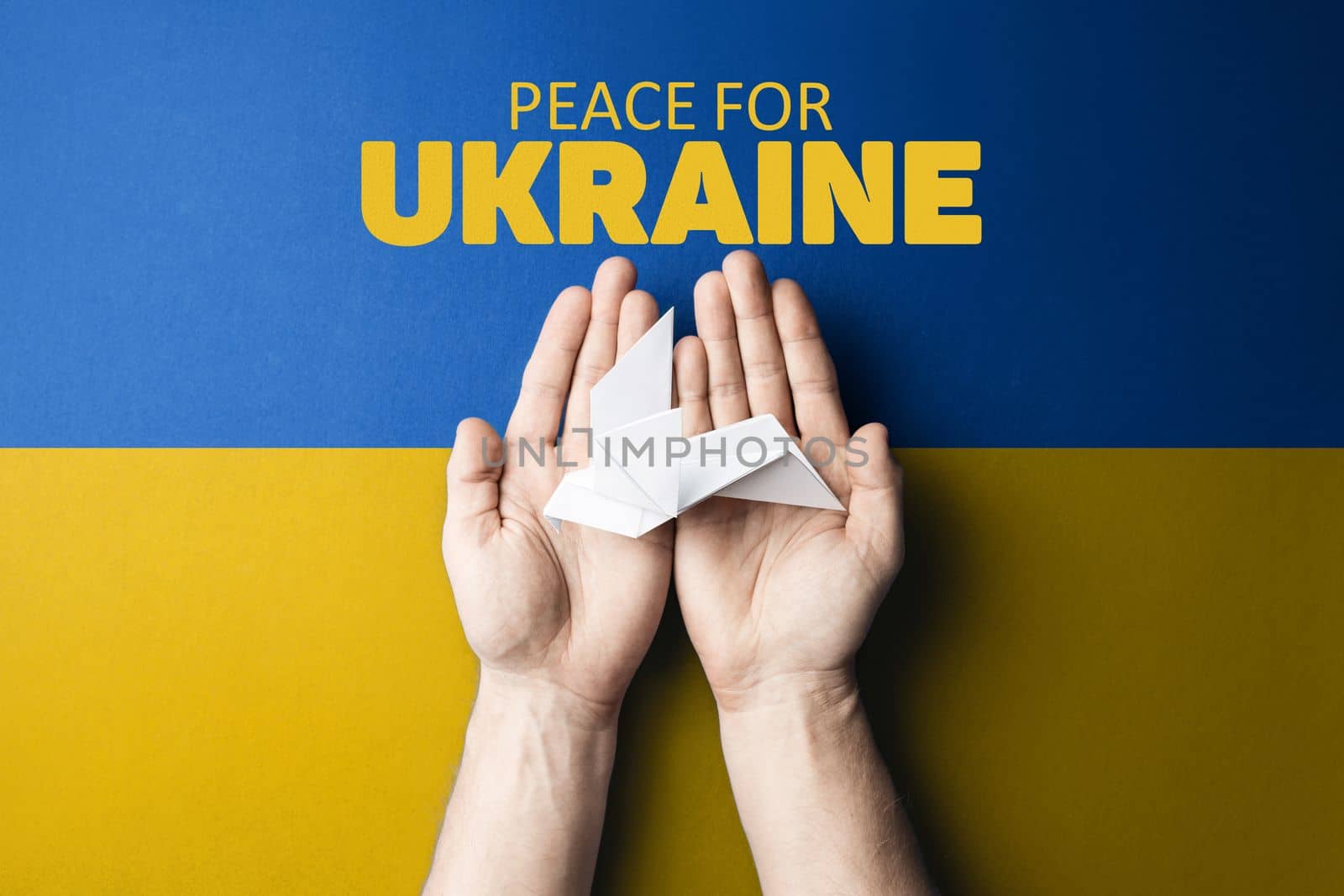 hands holding white paper dove with words peace for Ukraine on background of yellow and blue flag of ukraine. truth will win