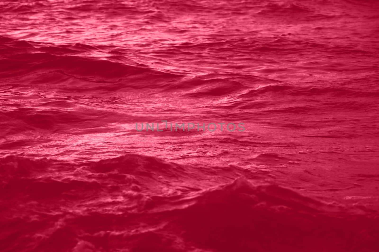 Viva Magenta toned sea water texture. Pool water with sun reflections. Trendy colour 2023 year. High quality photo