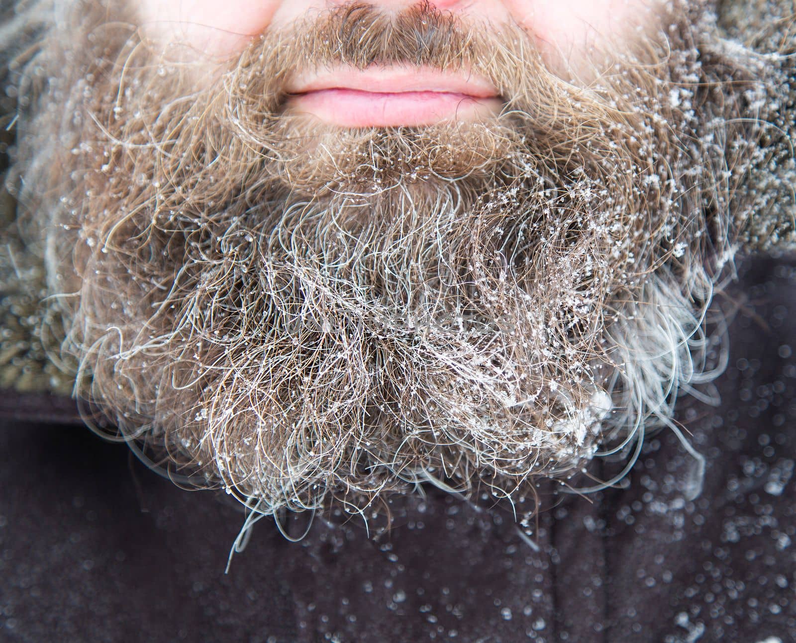 A man's beard covered with snow. The face of a bearded man in a snowstorm. A bearded male in a snowfall. A long, thick beard in winter.