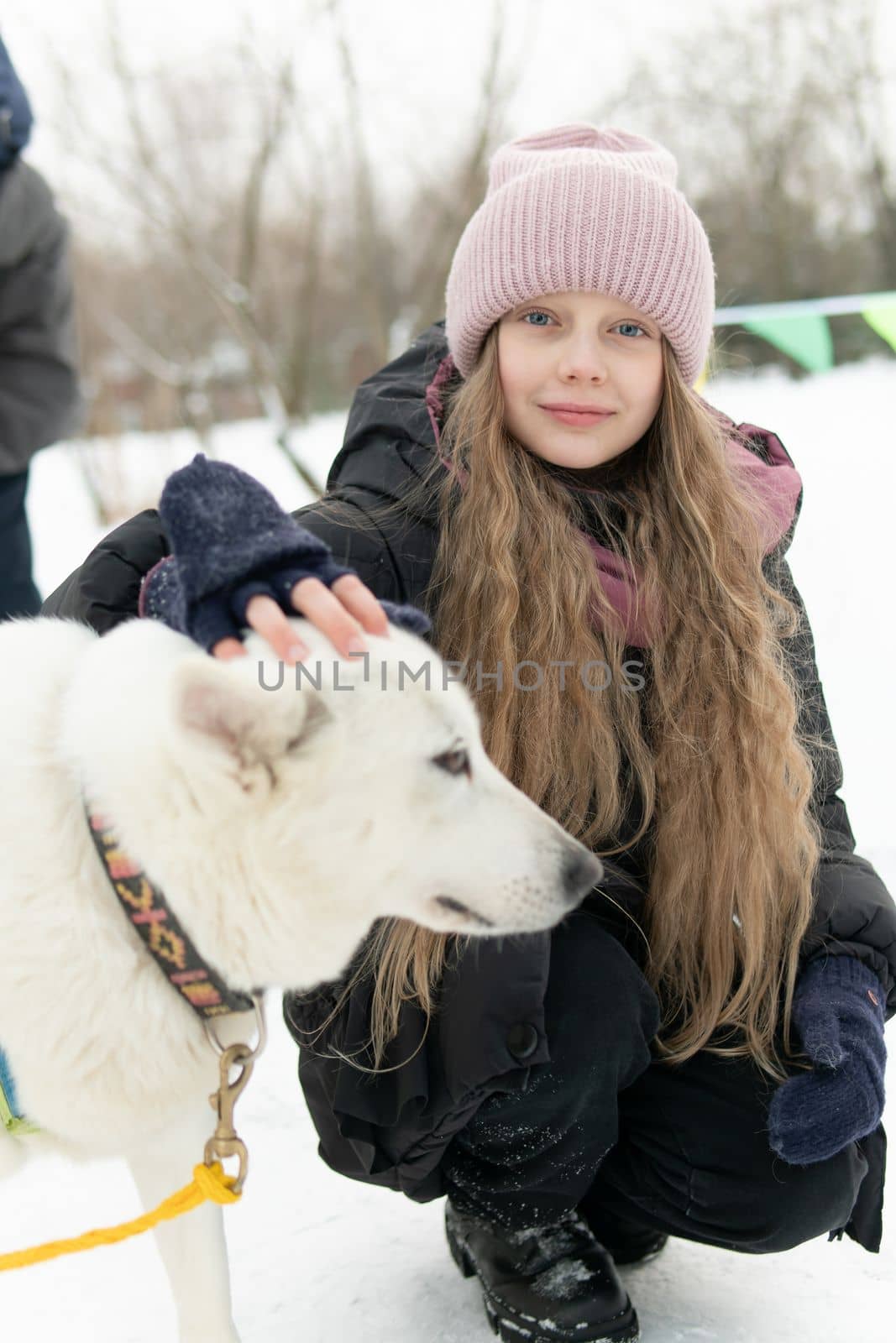 friendship adult person season animal snow outdoor woman husky pet winter young girl dog park by 89167702191