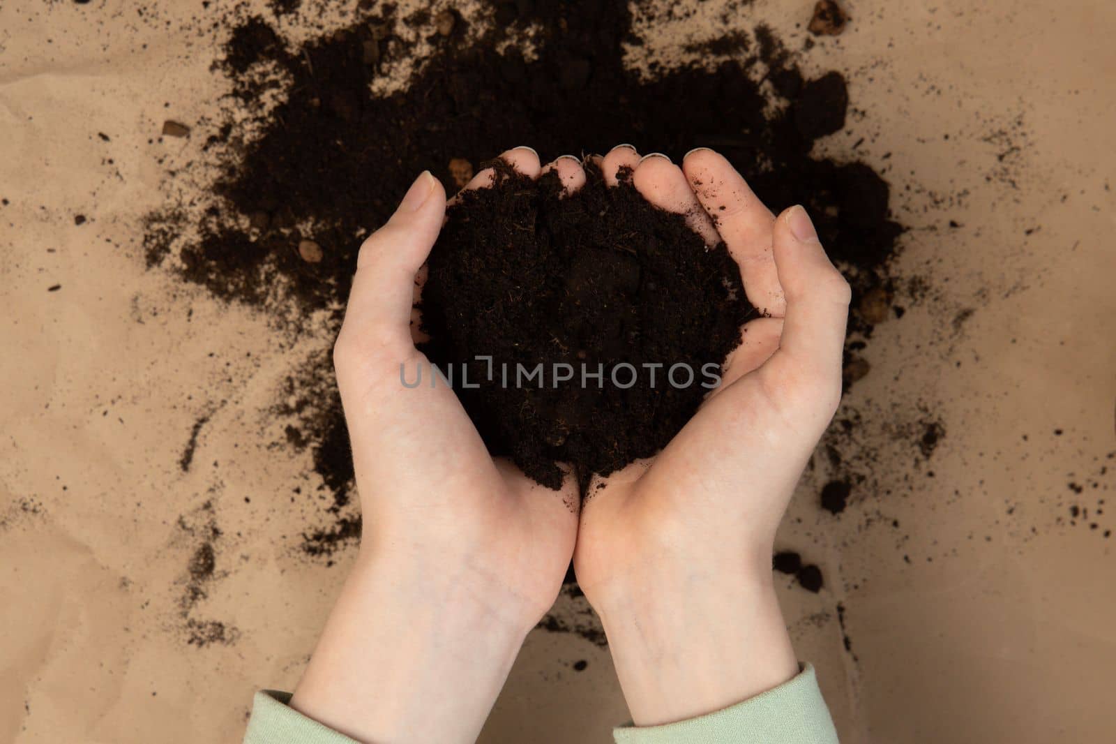 Soil in hands.National soil day. Earth day concept. Care about earth. Transplantation plant.