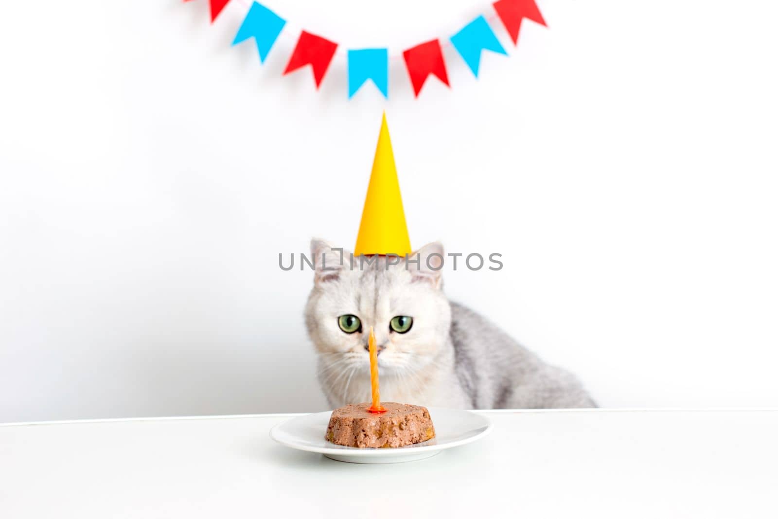 A funny white cat in a yellow paper cap sits at a white table and looks at a candle in a canned cat cake. Multi-colored flags hang in the background