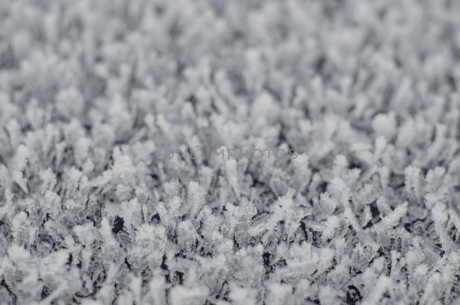 Textured winter background made of crystals. A lot of small pieces of ice. Frozen water. Macro photography. A natural phenomenon.
