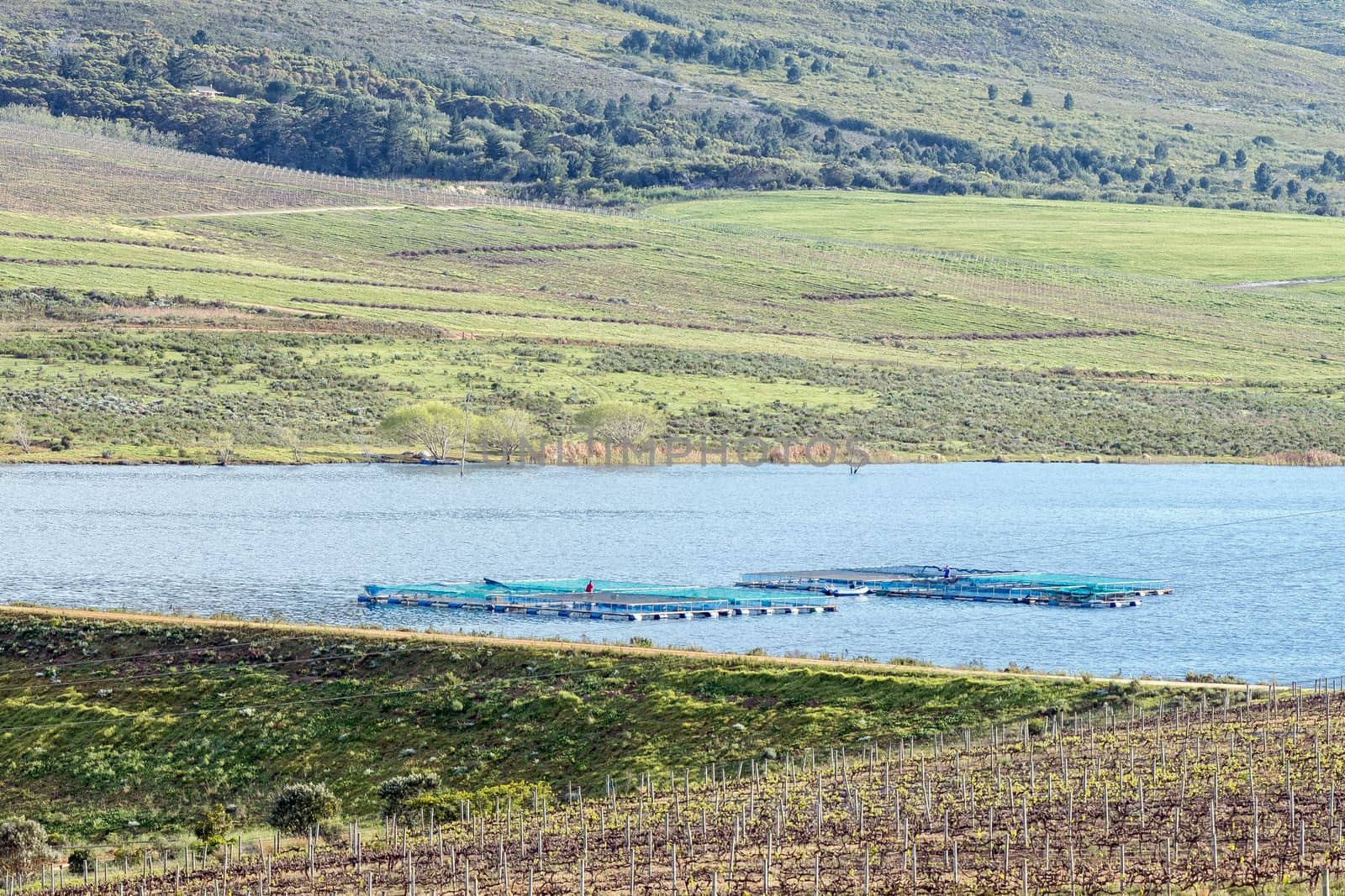 Lomond Dam, with a trout farm visible by dpreezg