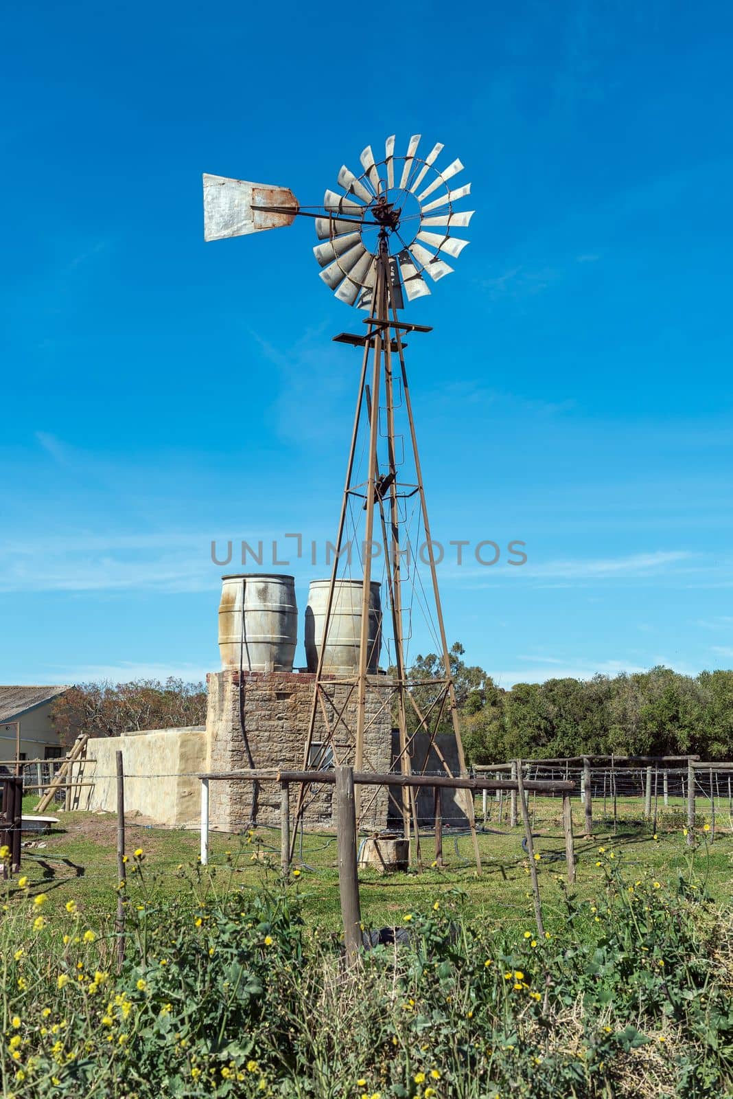 A windmill, water tanks and dam at Prinskraal next to the road between Arniston and Struisbaai in the Western Cape Province