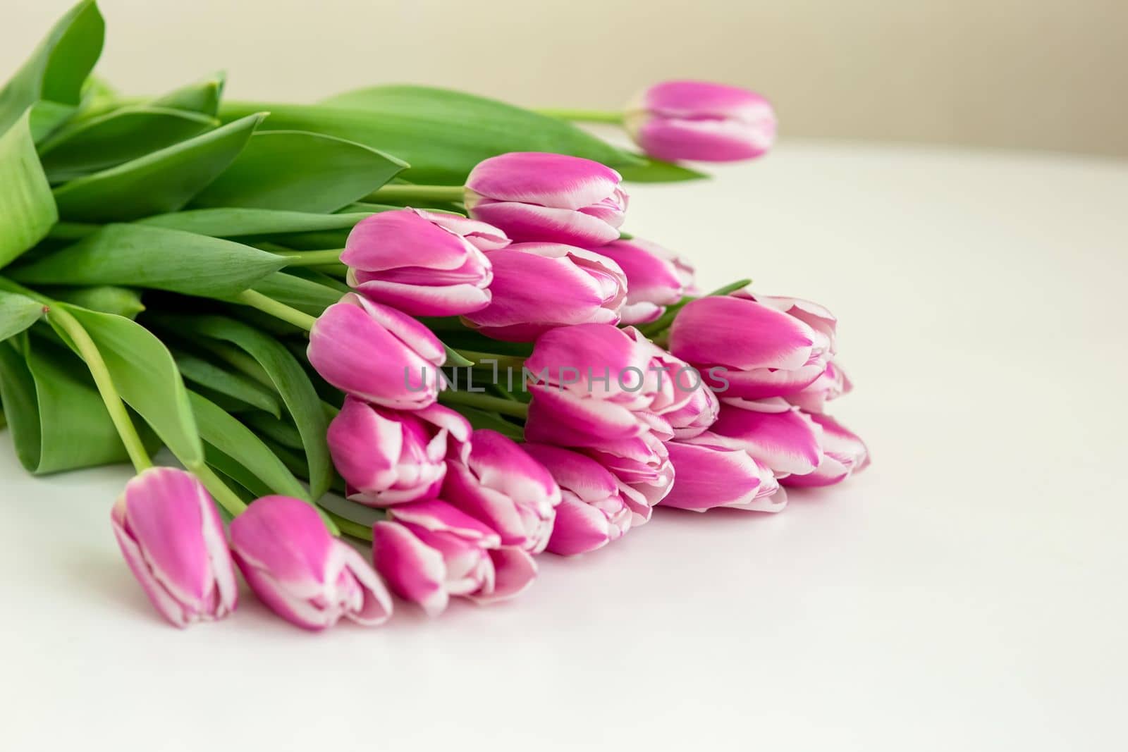 A big bouquet of beautiful pink tulips lies on a white table in daylight. copy space.