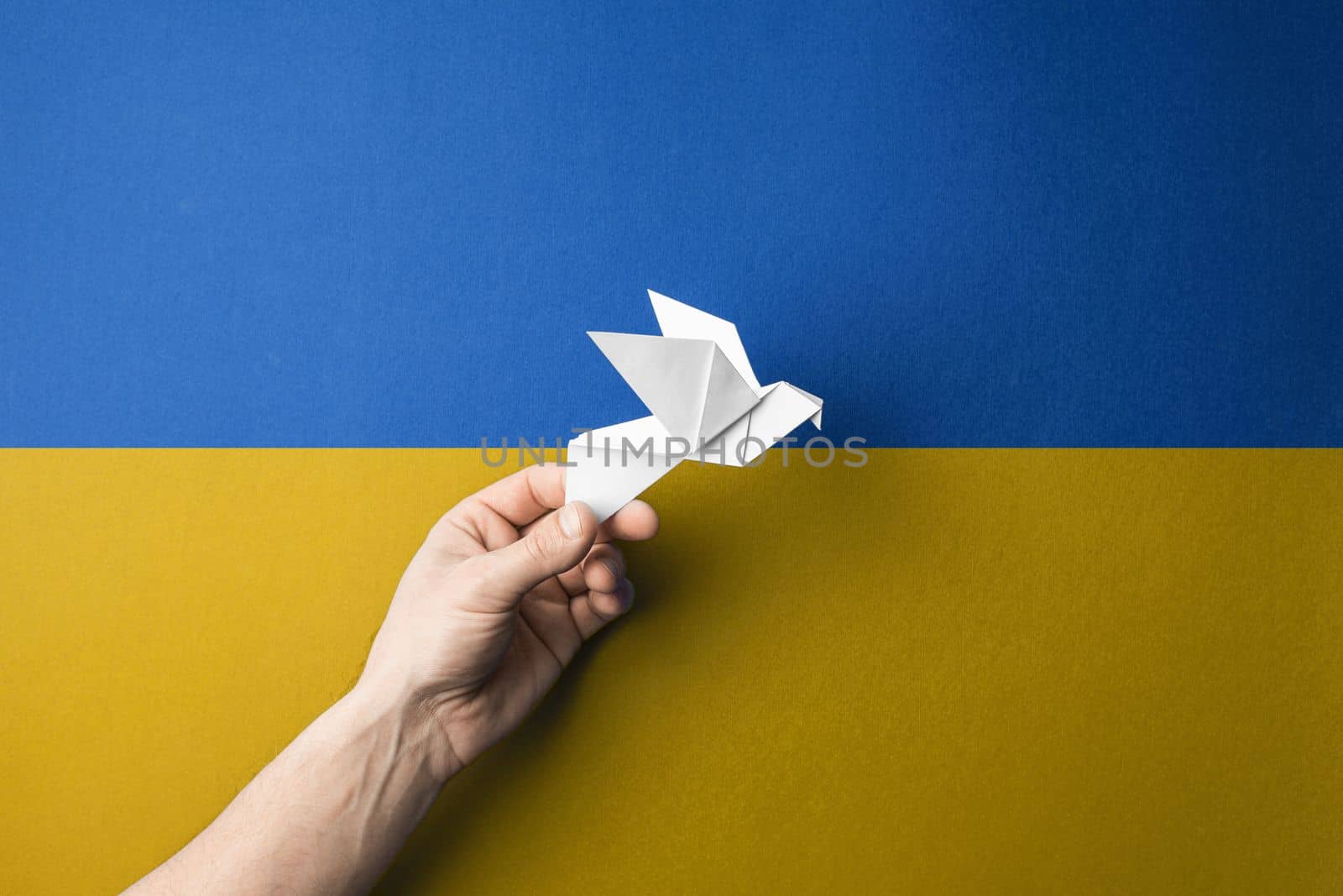 hand holding white paper bird against background of yellow blue flag of ukraine. concept needs help and support, truth will win