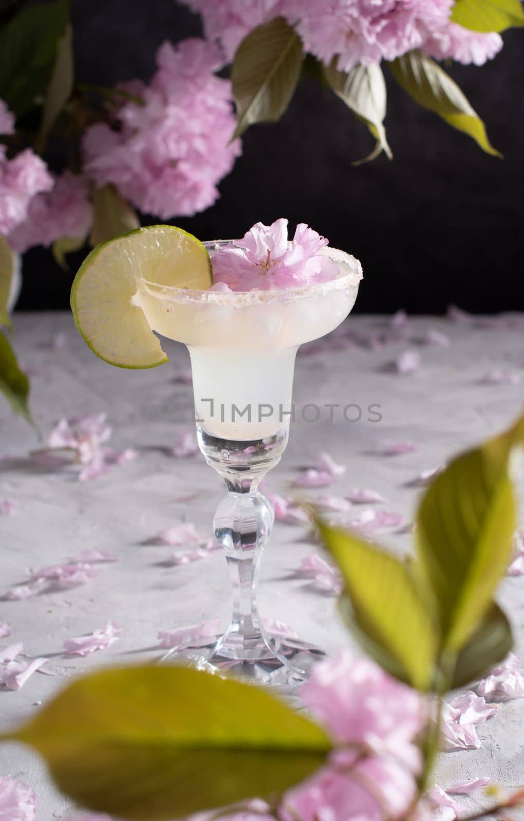 Spring still life with a glass of cold Margarita with lime surrounded by pink sakura flowers on a cement backgroundrefreshing summer drink alcoholic non-alcoholic cocktail. High quality photo