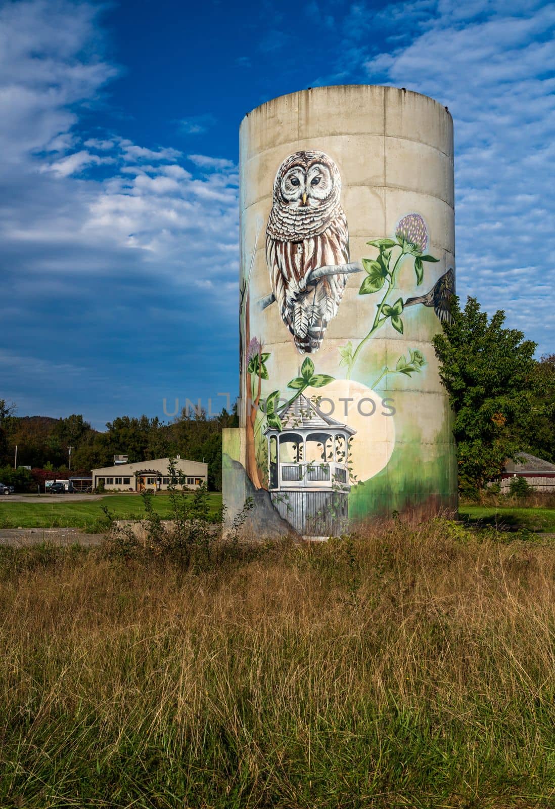 Mural on concrete silos in Jefferson Vermont by steheap