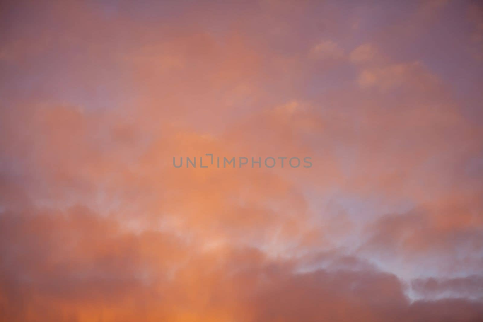 Colorful pink clouds in the sky at sunrise or sunset. Natural natural background.