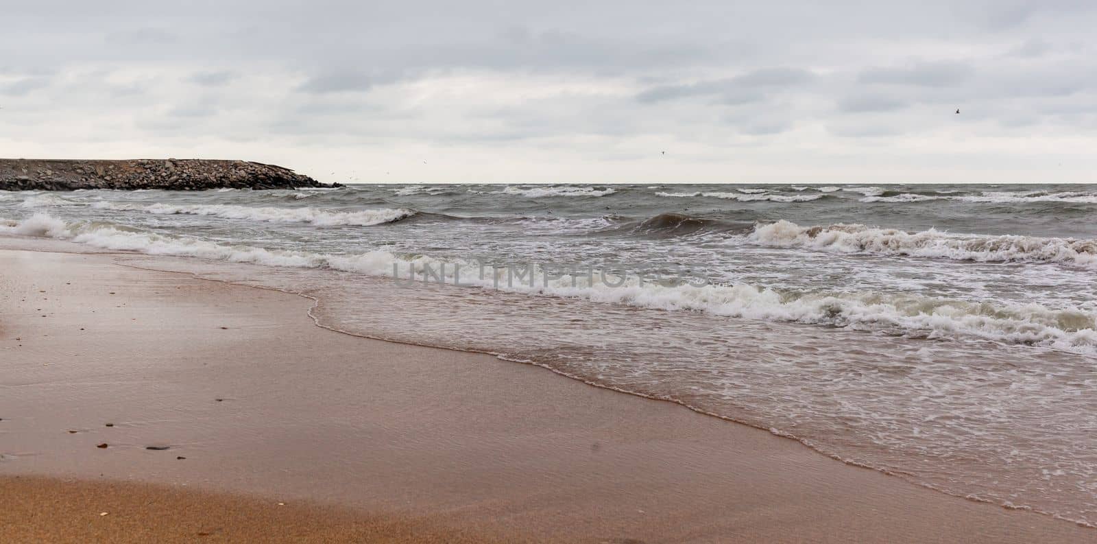 Huge waves raging in the sea and seagulls in the spray of waves. by AnatoliiFoto