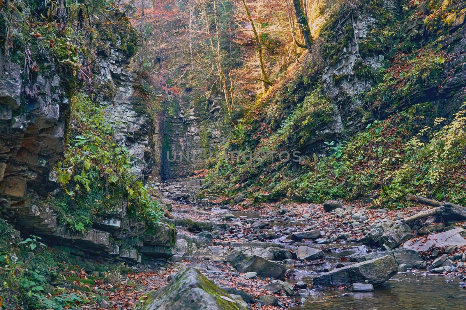  Autumn is one of the four temperate seasons. Outside the tropics, autumn marks the transition from summer to winter. Autumn forest glade with stones and boulders in bright sunny colors