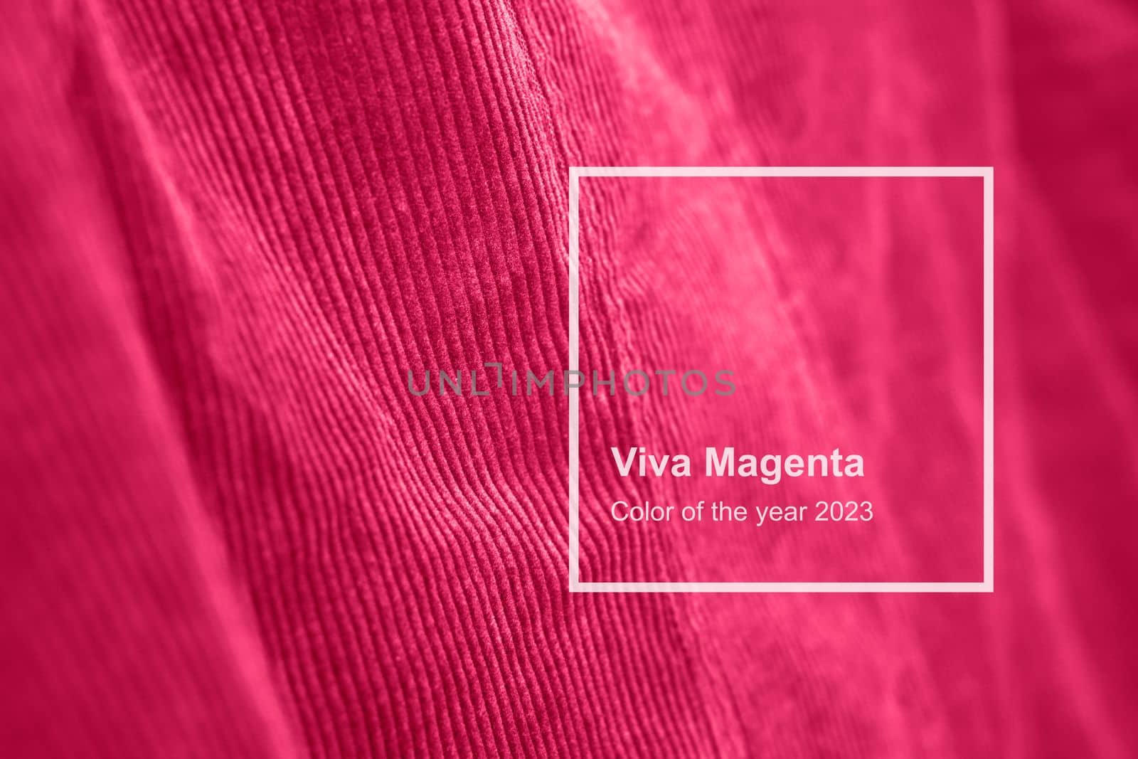 Viva Magenta velvet texture toned 2023 year. Monochrome color background. High quality photo