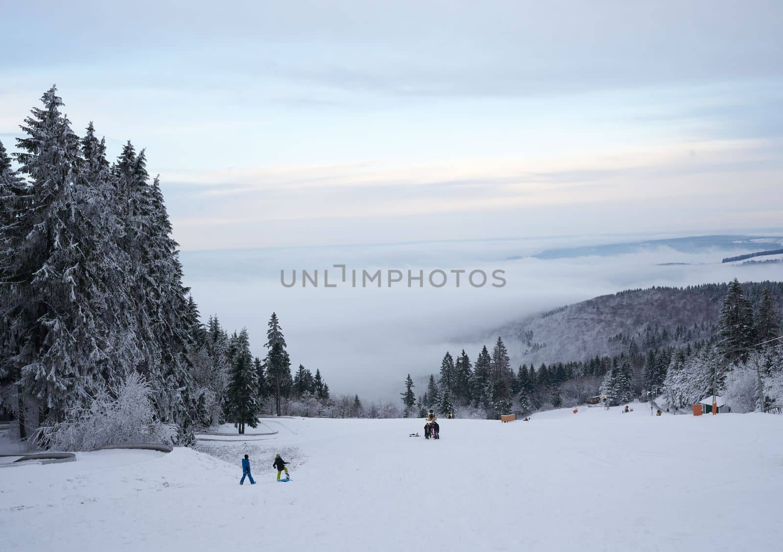 magnificent winter landscape on Wasserkuppe mountain in Ren, Hesse, Germany. magical tall and large pines and snowy firs covered with snow and ice. The horizon creates an illusion and merges with the cloudy sky and fog, which covers all the space visible in the distance. by Costin